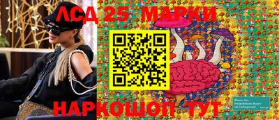 прущие грибы Кингисепп