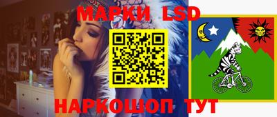 прущие грибы Кингисепп