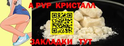 прущие грибы Кингисепп