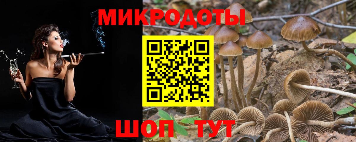 Псилоцибиновые грибы Psilocybine cubensis  Вход с VPN  Каспийск 