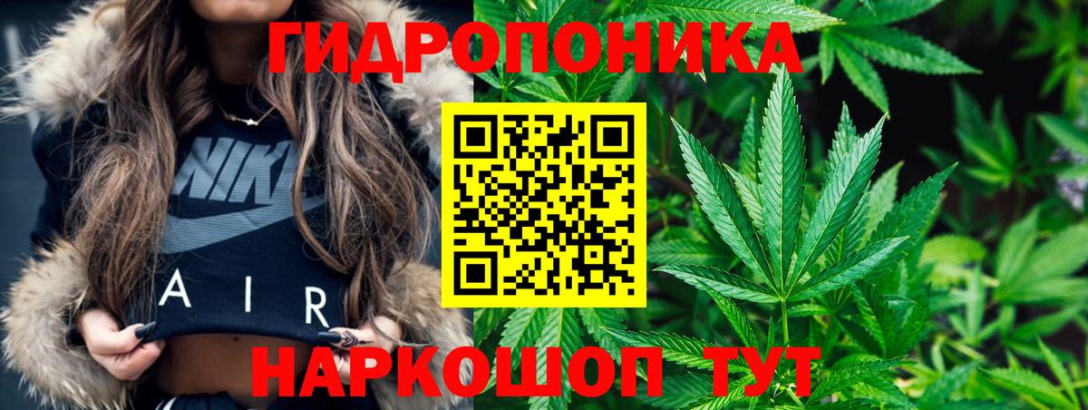 Шишки марихуана план  Конопля AK-47  МАРИХУАНА индика  Вход с VPN  Каспийск  Каннабис конопля 